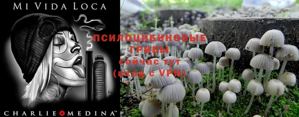 дурь Зерноград