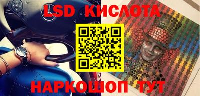 прущие грибы Гай