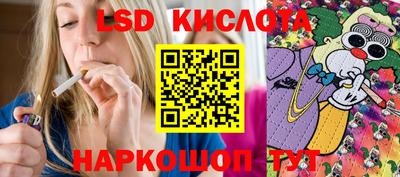 прущие грибы Заводоуковск