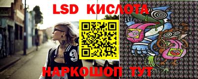 spice Гатчина