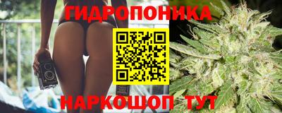прущая мука Жуковский