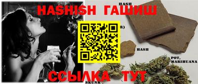 spice Гатчина