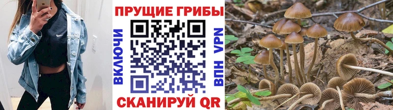 Галлюциногенные грибы GOLDEN TEACHER  Каспийск 